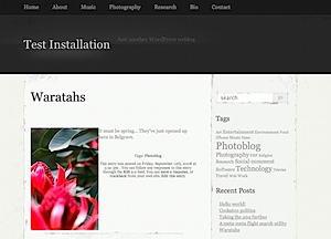 Example of "Elegant Grunge" Wordpress theme without framed images