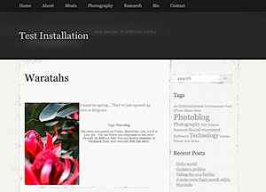 Example of "Elegant Grunge" WordPress theme without framed images